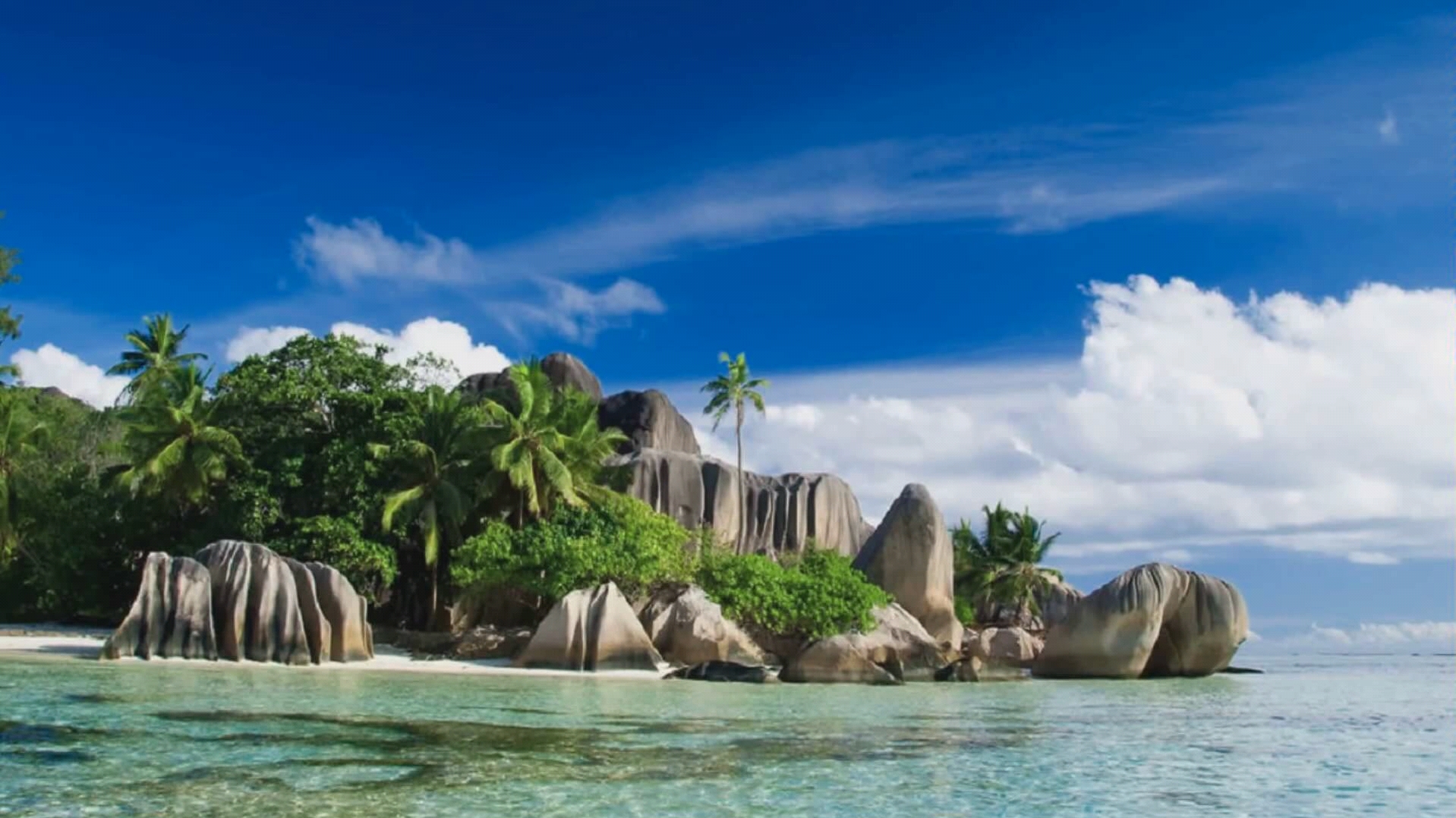 酷非洲音乐 - 岛屿沙滩_哔哩哔哩_bilibili