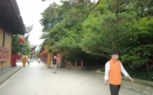 Скачать видео: 上海龙华寺