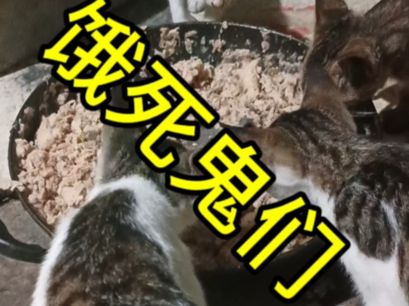 饿死鬼投胎
