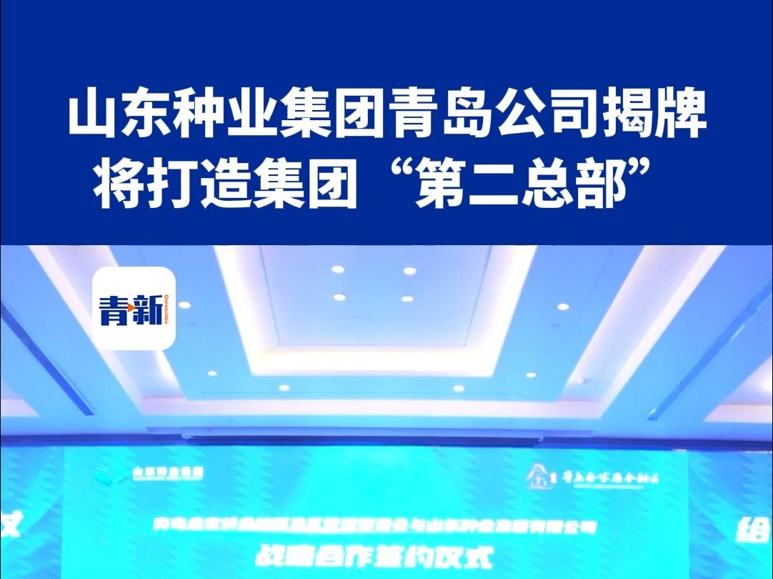 助力青岛“国际种都”建设,山东种业集团青岛公司揭牌成立!哔哩哔哩bilibili