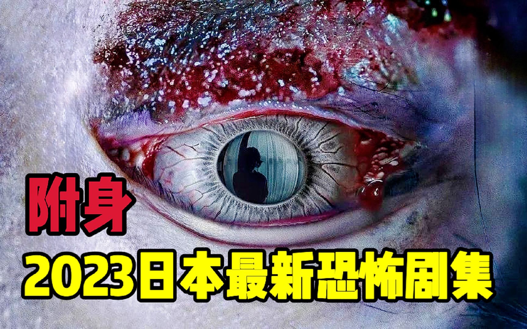 2023日本最新高分恐怖剧集《附身》13集全程无尿点,恐怖氛围直接拉满哔哩哔哩bilibili