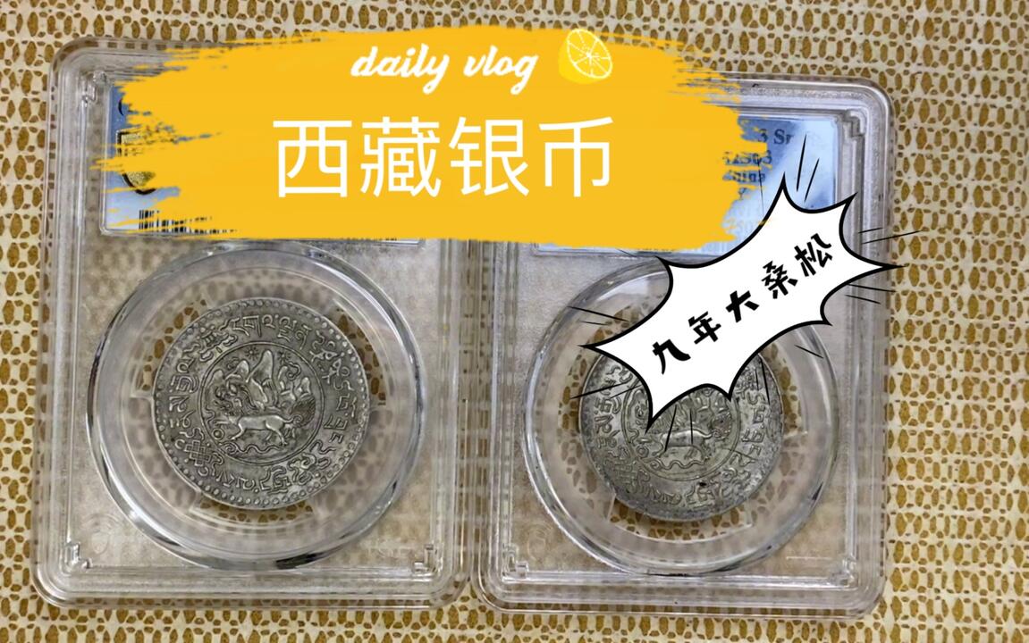 九年桑松果木是所有年份中铸造最为精美的银币。_哔哩哔哩_bilibili