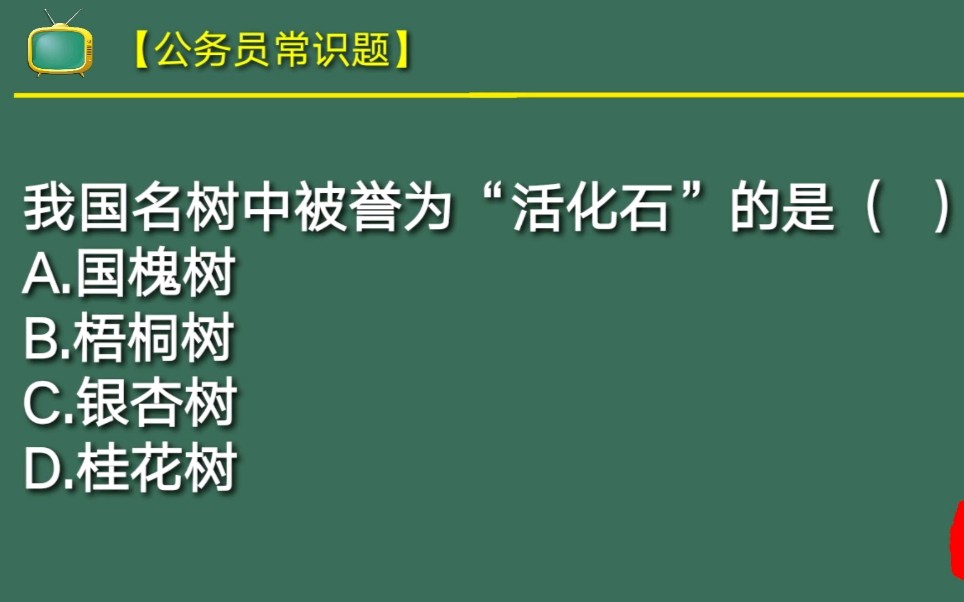 公务员常识题:我国名树中被誉为“活化石”的是哪个?你知道吗?哔哩哔哩bilibili