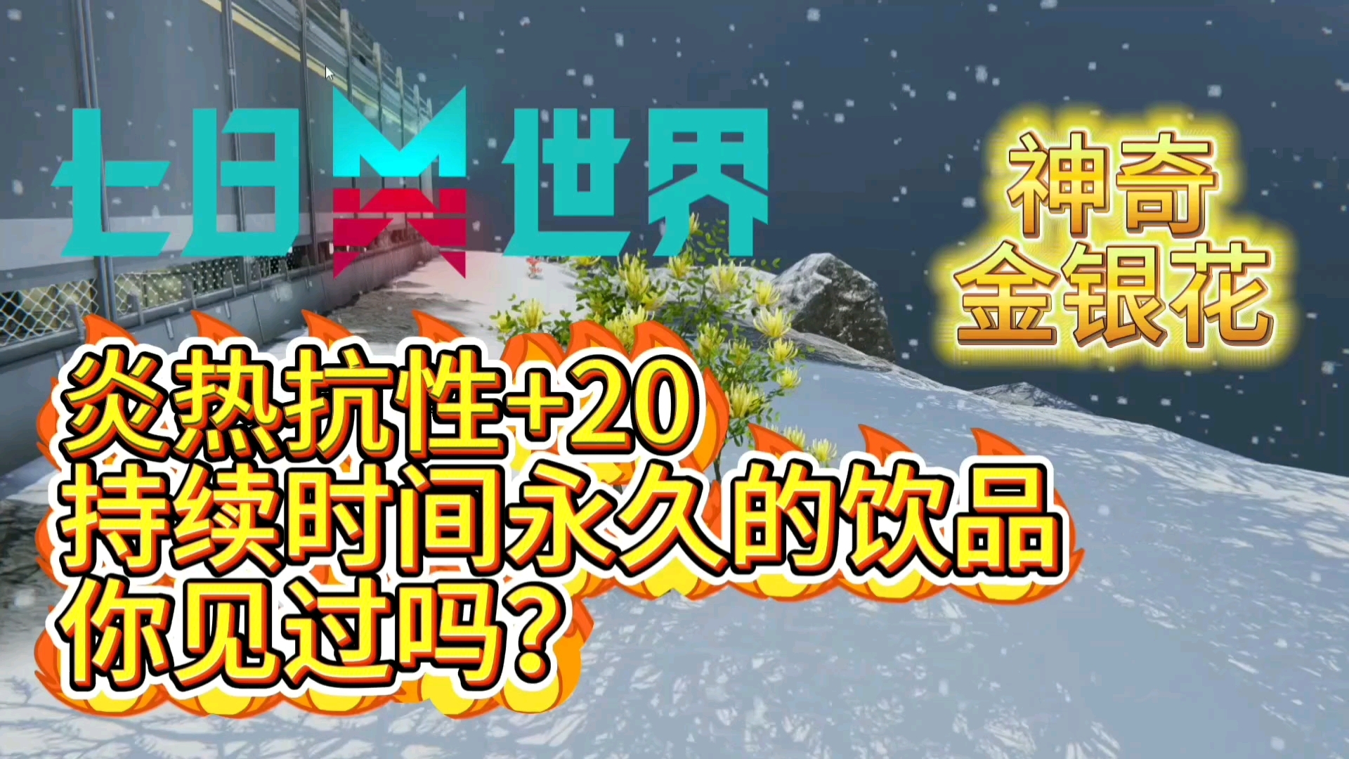 增加20炎热抗性,持续时间永久的雪国金银花饮品你见过吗?