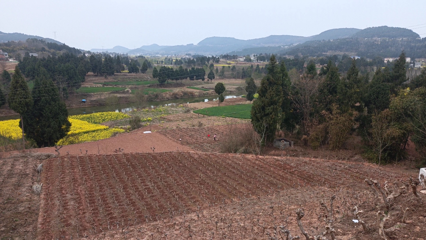 3月6日惊蛰,鱼泉村观察人工自然之美与自然融合之美