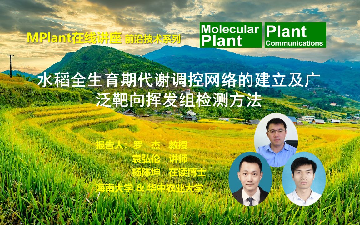 MP在线讲座2021前沿技术系列 罗杰水稻全生育期代谢调控网络的建立及广泛靶向挥发组检测方法哔哩哔哩bilibili