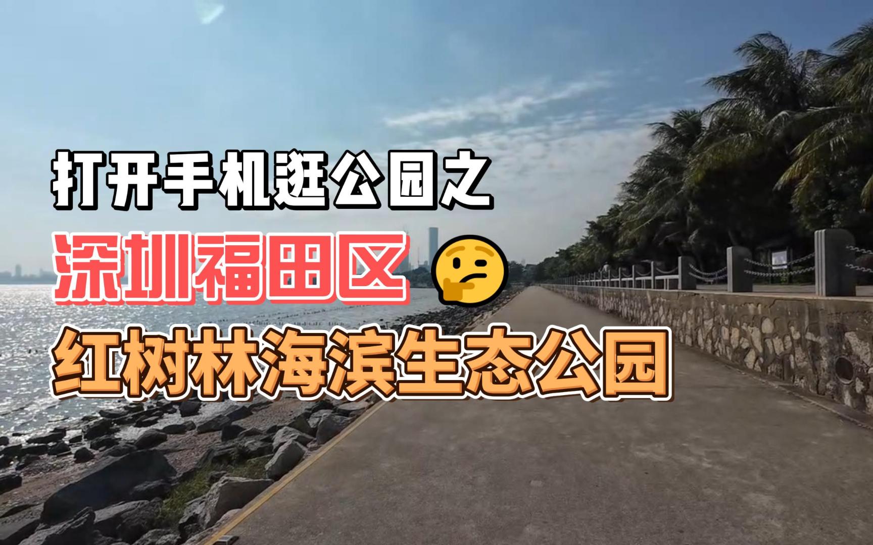 【打开手机逛公园】之深圳福田红树林海滨生态公园,体验深圳红树林保护区内的老牌滨海生态公园哔哩哔哩bilibili