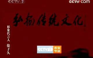 [图]2008 02 04 cctv7 致富经节目中场广告