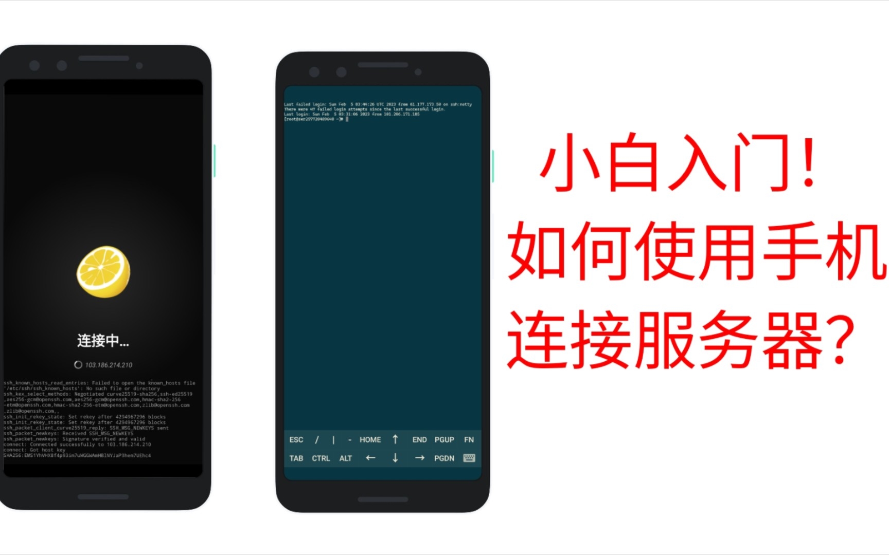 如何使用手机连接服务器?小白入门哔哩哔哩bilibili