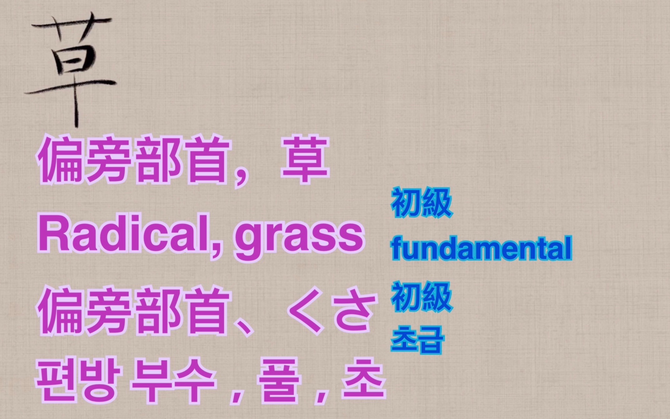 (1)有关“草”的汉字Kanji related to grass草に関する汉字/初级elementary初级哔哩哔哩bilibili