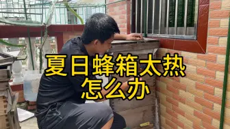 Télécharger la video: 夏季如何有效的降低蜂箱内的温度，方法很简单，养蜂小伙来支招