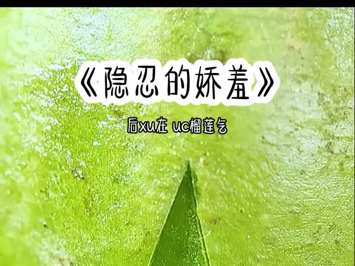 隐忍的娇羞哔哩哔哩bilibili