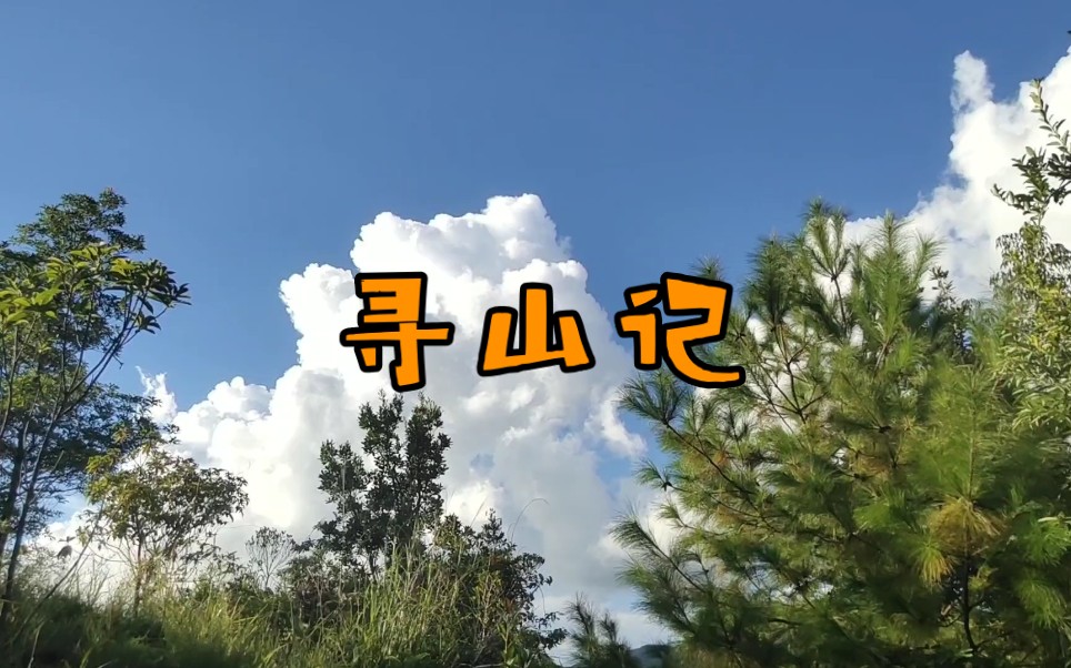 [图]寻山记---又见大南山