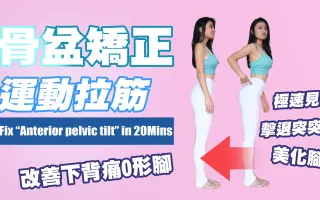 骨盤 搜索结果 哔哩哔哩 Bilibili