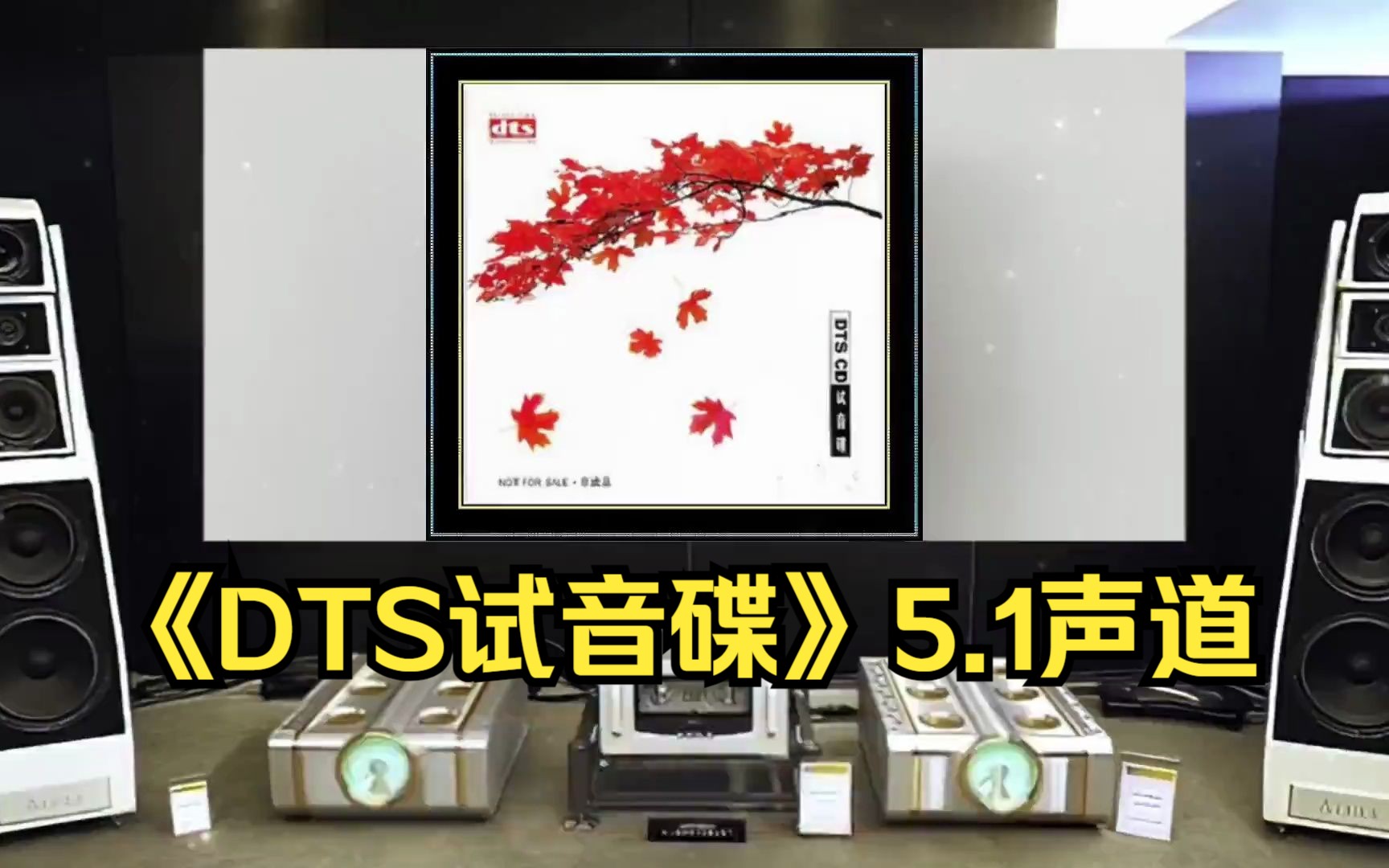 [图]发烧音乐·群星《DTS试音碟》-[5.1声道-DTS-WAV]~高解析音乐