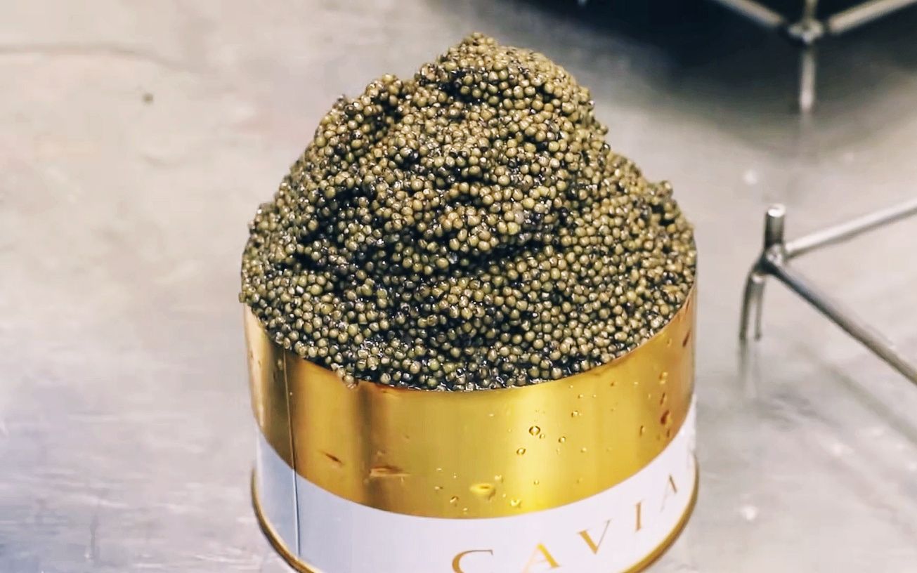 惊人的鱼子酱制作过程!