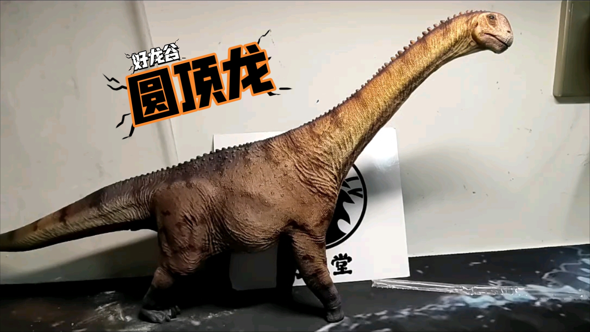 拉斐尔超进化!(好龙谷圆顶龙到货分享)