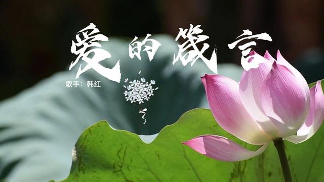 爱的箴言 歌手:韩红 听了好几个版本,还是韩红的最触动我心