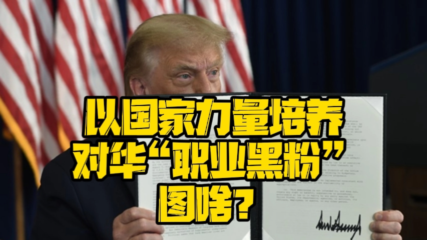以国家力量培养对华"职业黑粉",图啥?