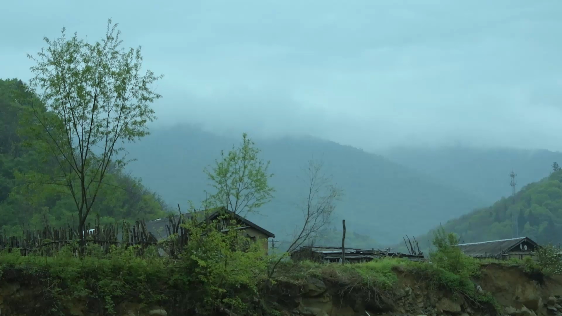 [图]“山居，听雨声，看雾气”