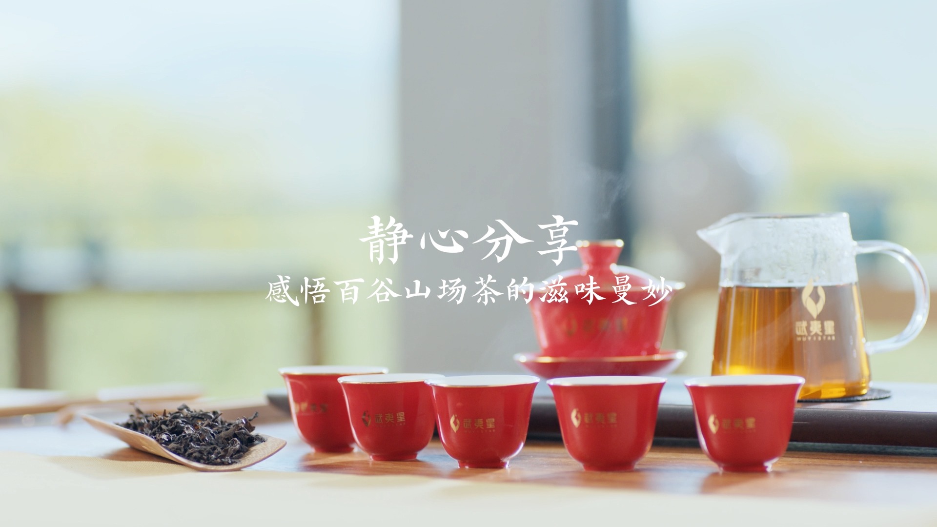 武夷星2021品牌战略大会-百谷