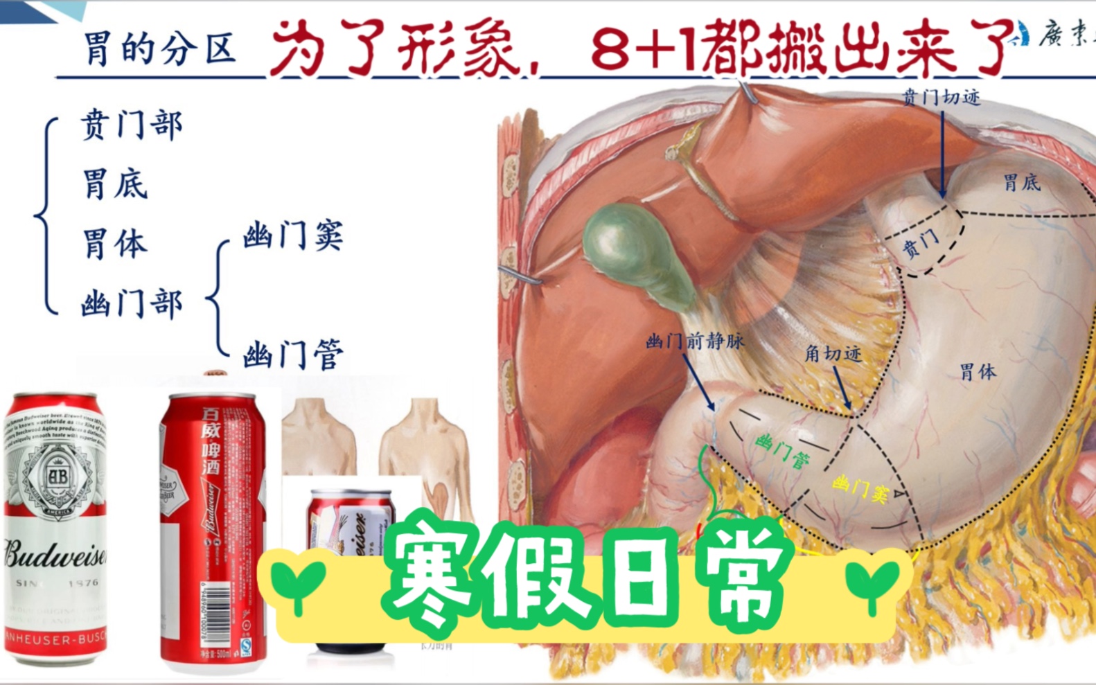 我的寒假日常:构思+选图+修图+拓展+录制+剪辑+发布哔哩哔哩bilibili