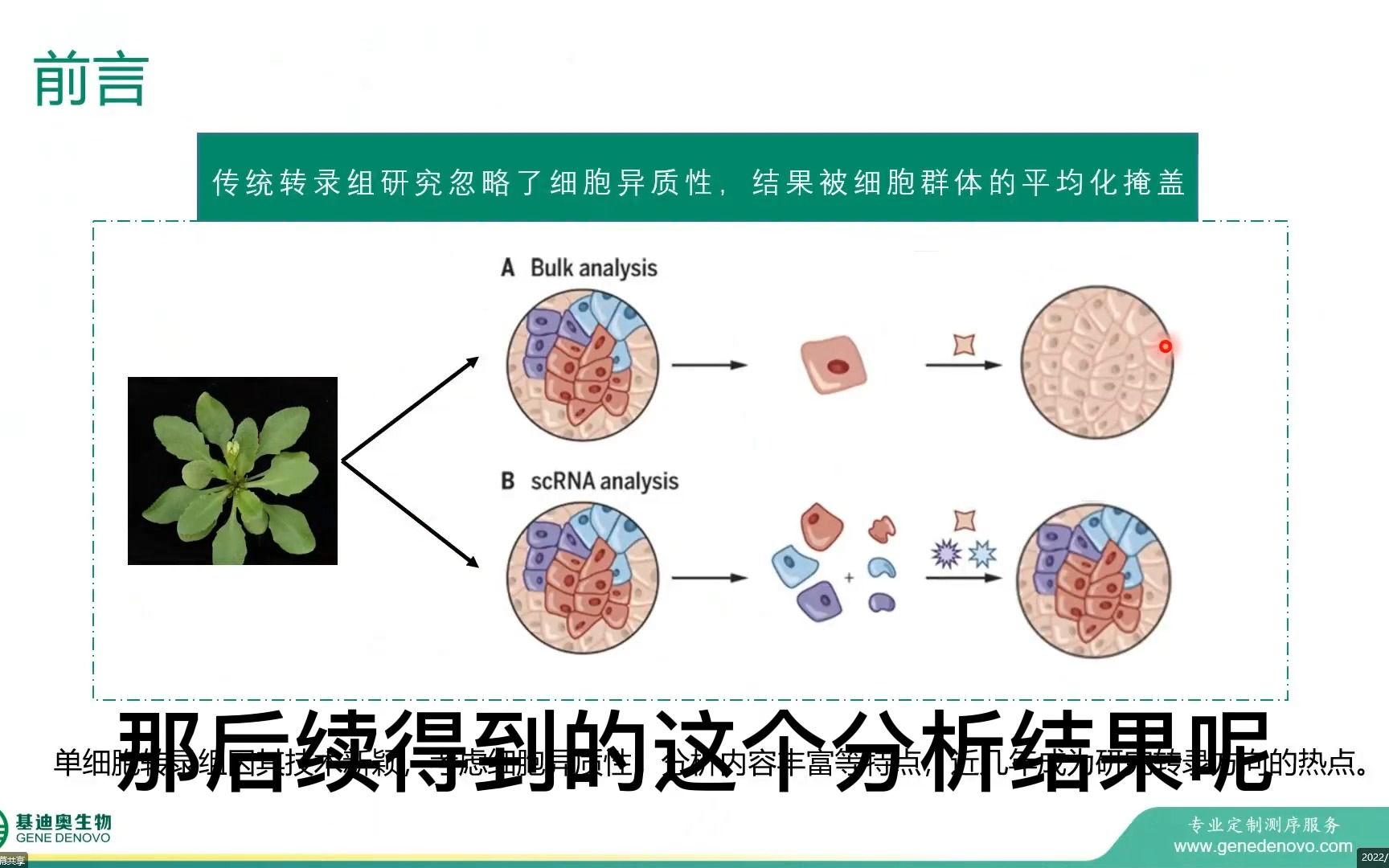 [图]单细胞测序数据分析（第一节）