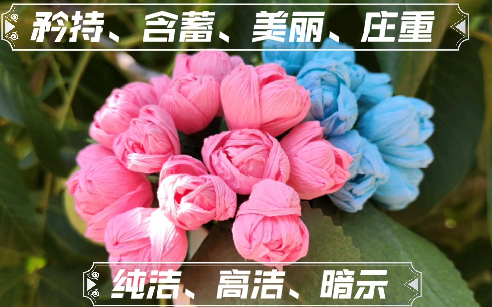 皱纹纸花——含笑花:矜持、含蓄、美丽、庄重、纯洁、高洁、暗示!哔哩哔哩bilibili