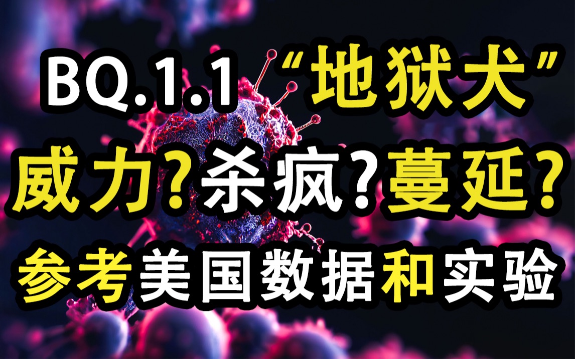 [图]参考美国数据和实验: “地狱犬”BQ.1.1多半会为国内主流毒株, 那到底威力如何? 国内已经被检测到, 蔓延?杀疯? 广泛传播成为必然, 杀疯则大可说不一定