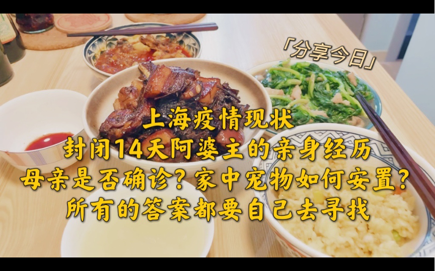 疫情封闭14天,上海疫情现状.第一次买推广,不求粉、不求赞、只求转发,让更多受到疫情影响的小伙伴们能看到视频最后的宠物救助信息与方舱必备物品...