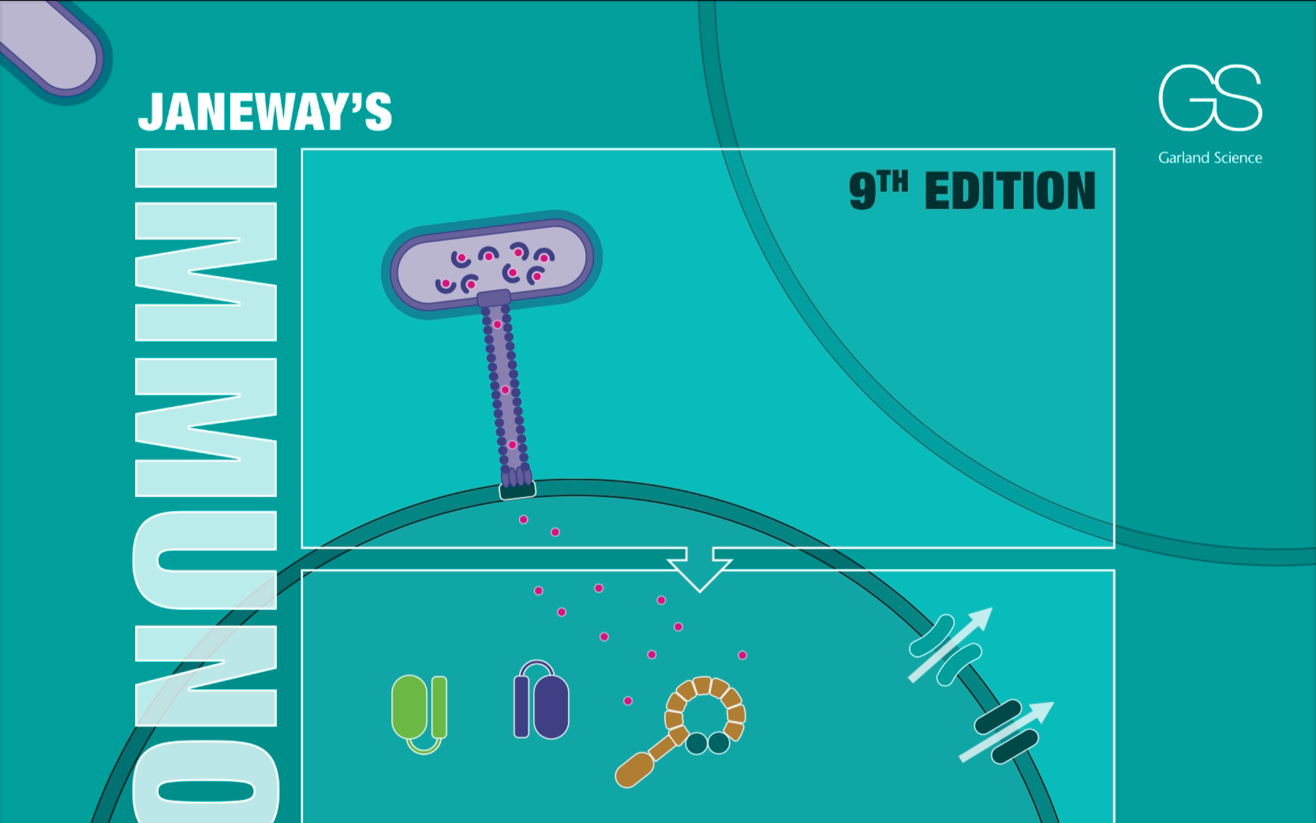[janeways immunobiology] chapter 1-1.1-1.3 (自学记录非课程)