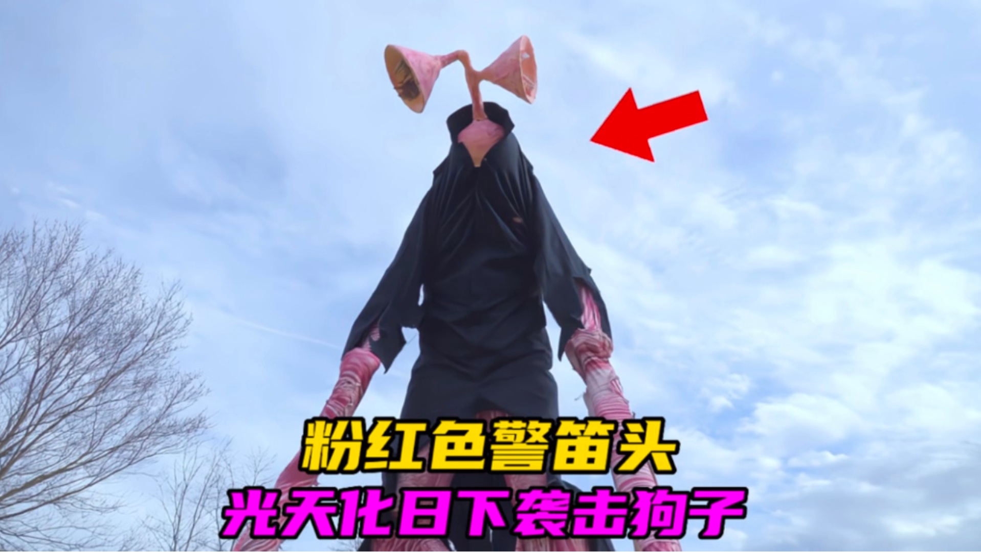 粉红色的警笛头,你们见过吗