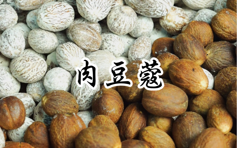 中药炮制 肉豆蔻