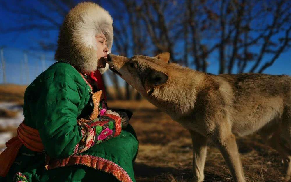 95后女孩做驯狼师养狼用嘴喂食 每天剁50斤肉喂8匹狼_哔哩哔哩 (゜-゜