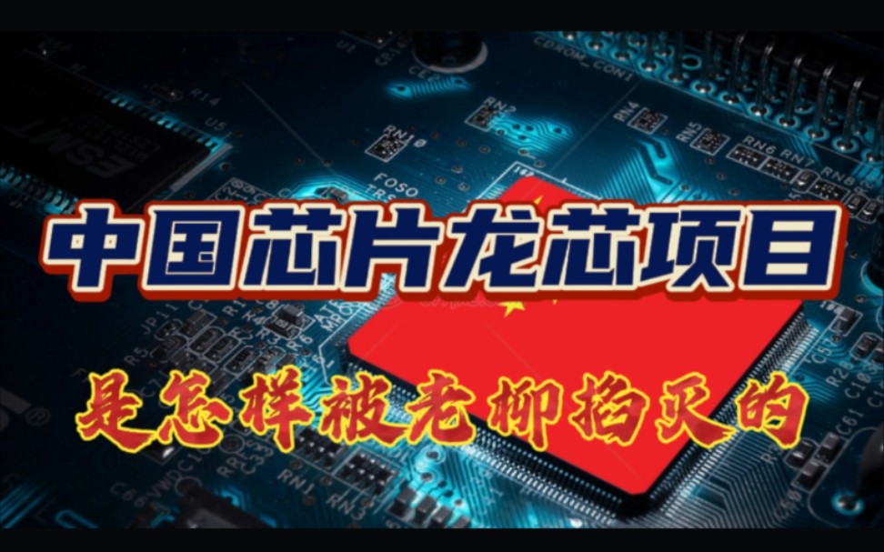 卖地赶人!重大科研“龙芯”项目、细究老柳是如何毁掉中国龙芯的哔哩哔哩bilibili