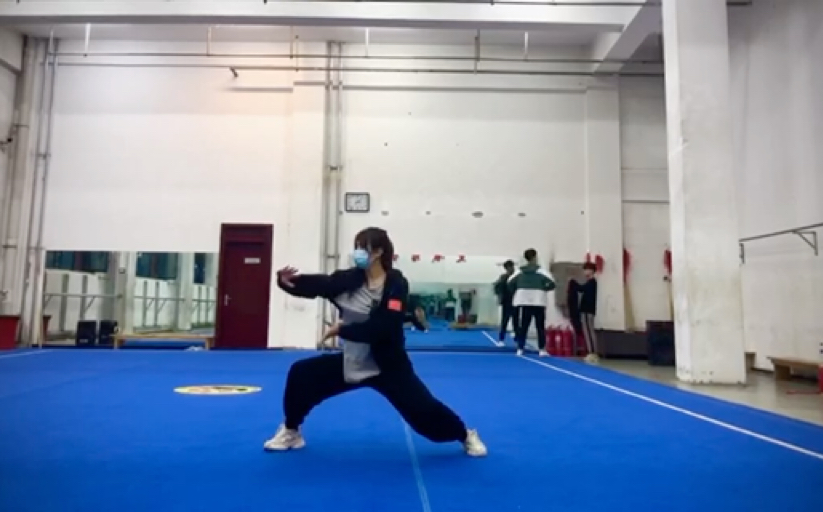 中华民族传统—武术 太极拳-打太极的小赵-打太极的小赵-哔哩哔哩视频
