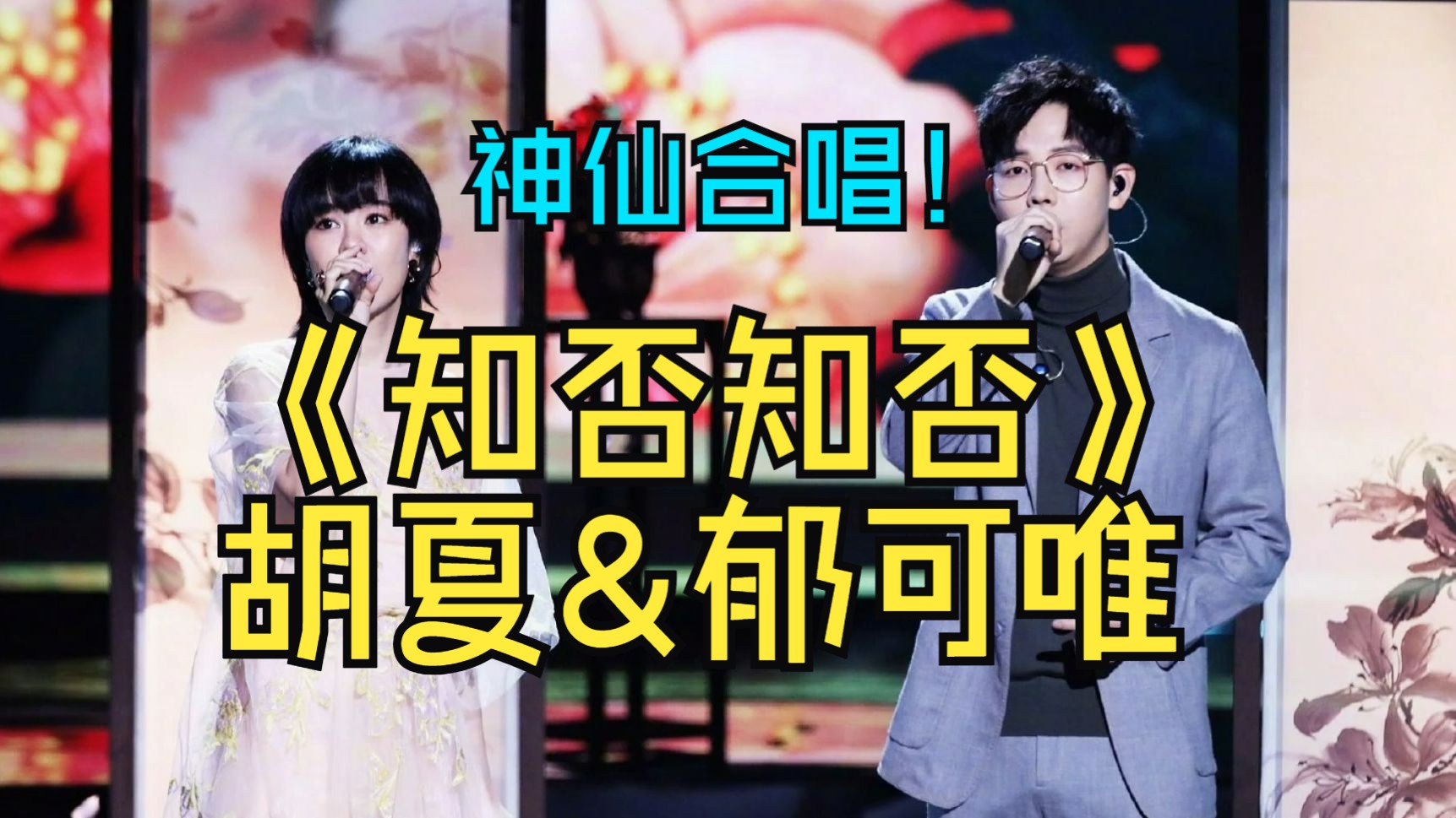 胡夏&郁可唯《知否知否》神仙合唱现场版/去杂音修复版(经典咏流传)