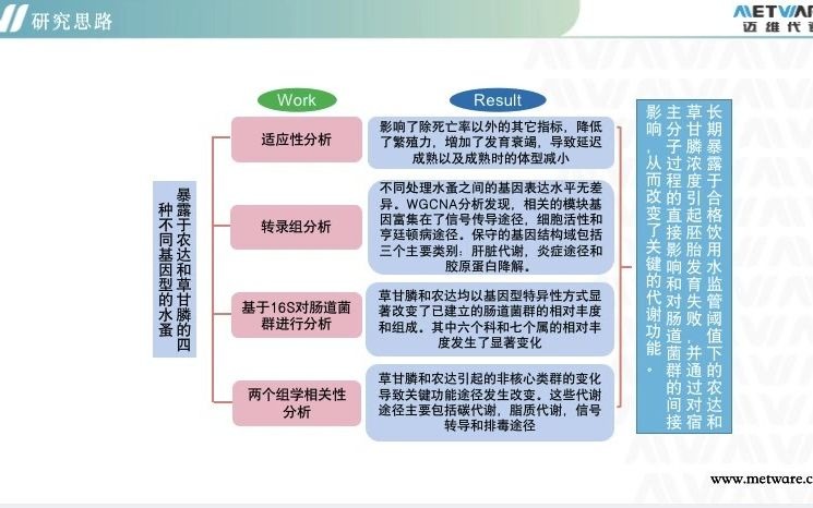 迈维代谢/肠道菌群/文献解读:农达导致非靶标物种胚胎败育、并改变代谢途径及肠道菌群功能哔哩哔哩bilibili