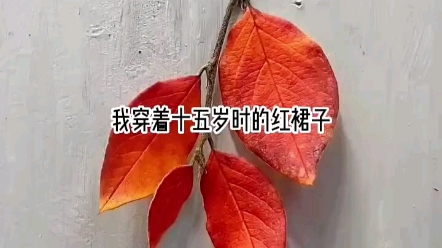 《风光花余》“满地的画像,张张都是他”哔哩哔哩bilibili