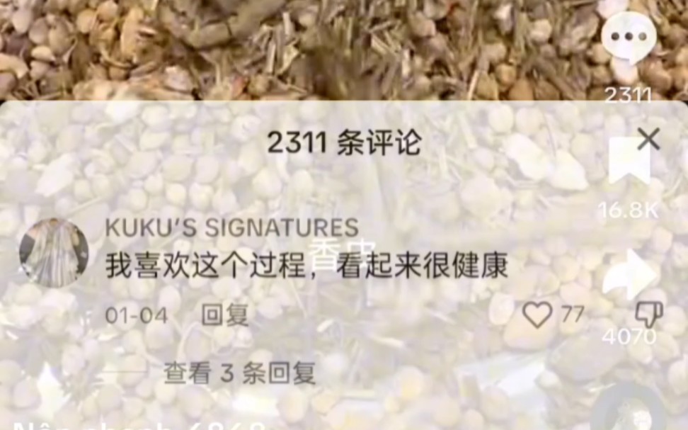 【TikTok】外网展示火锅底料制作过程获得28W赞. 一起来看评论吧哔哩哔哩bilibili