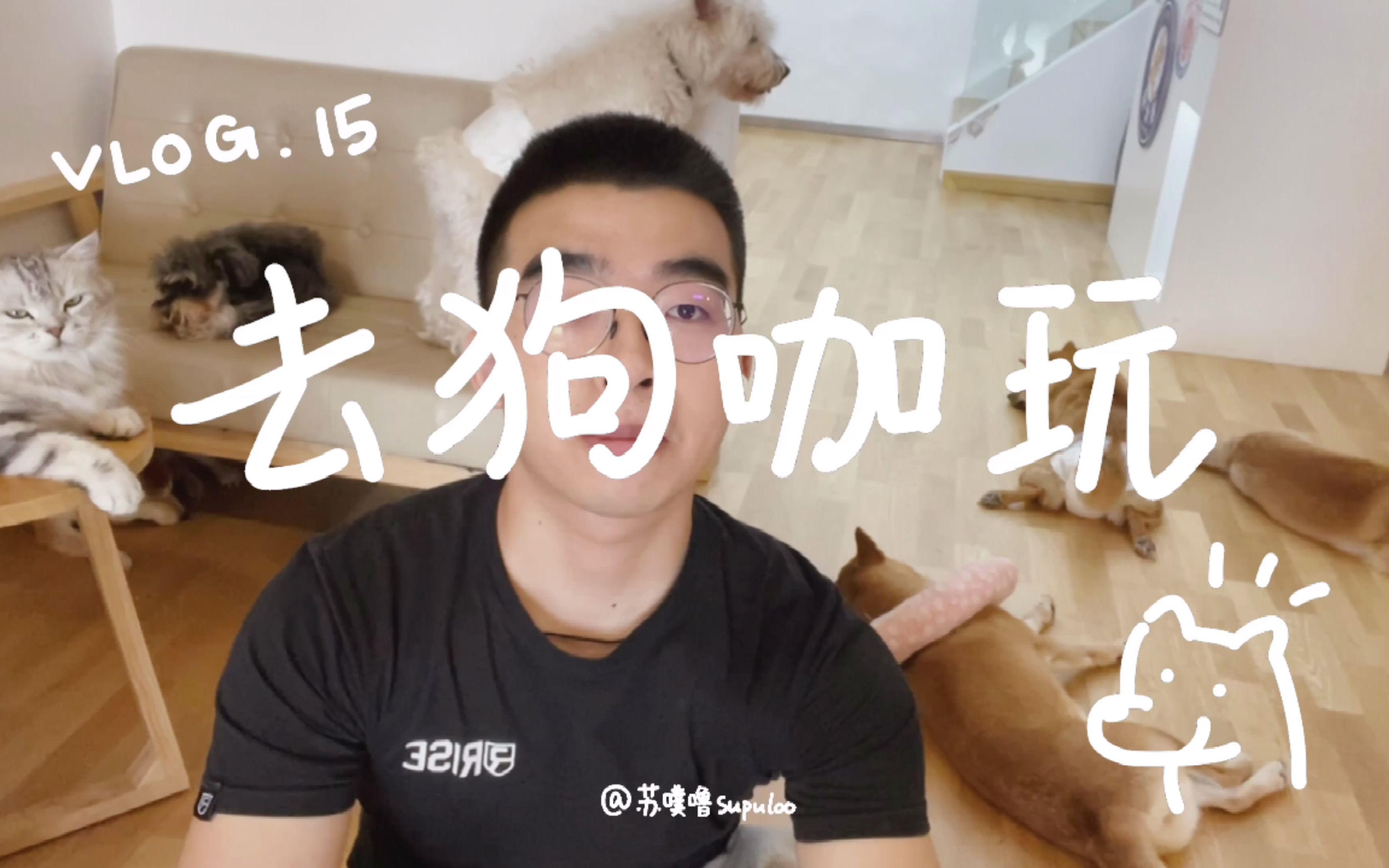 第一次去狗咖 被柴犬犬犬包围了丨VLOG.015哔哩哔哩bilibili