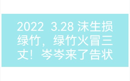 点进去一定先把声音调小哈,一定一定一定,重要的事情说三遍!沫生一直在损绿总,岑岑来了,绿竹告状哔哩哔哩bilibili