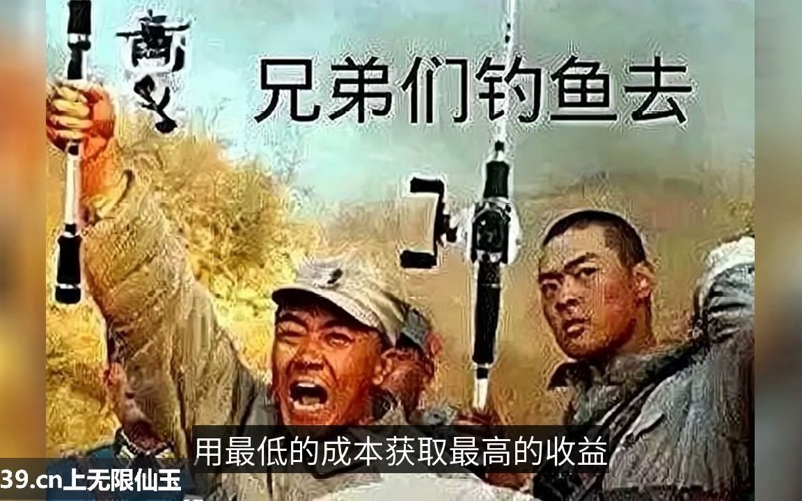 梦幻西游手游破解版ios是真的吗?低端五开被时代淘汰,但其“替代品”却在悄然崛起!哔哩哔哩bilibili