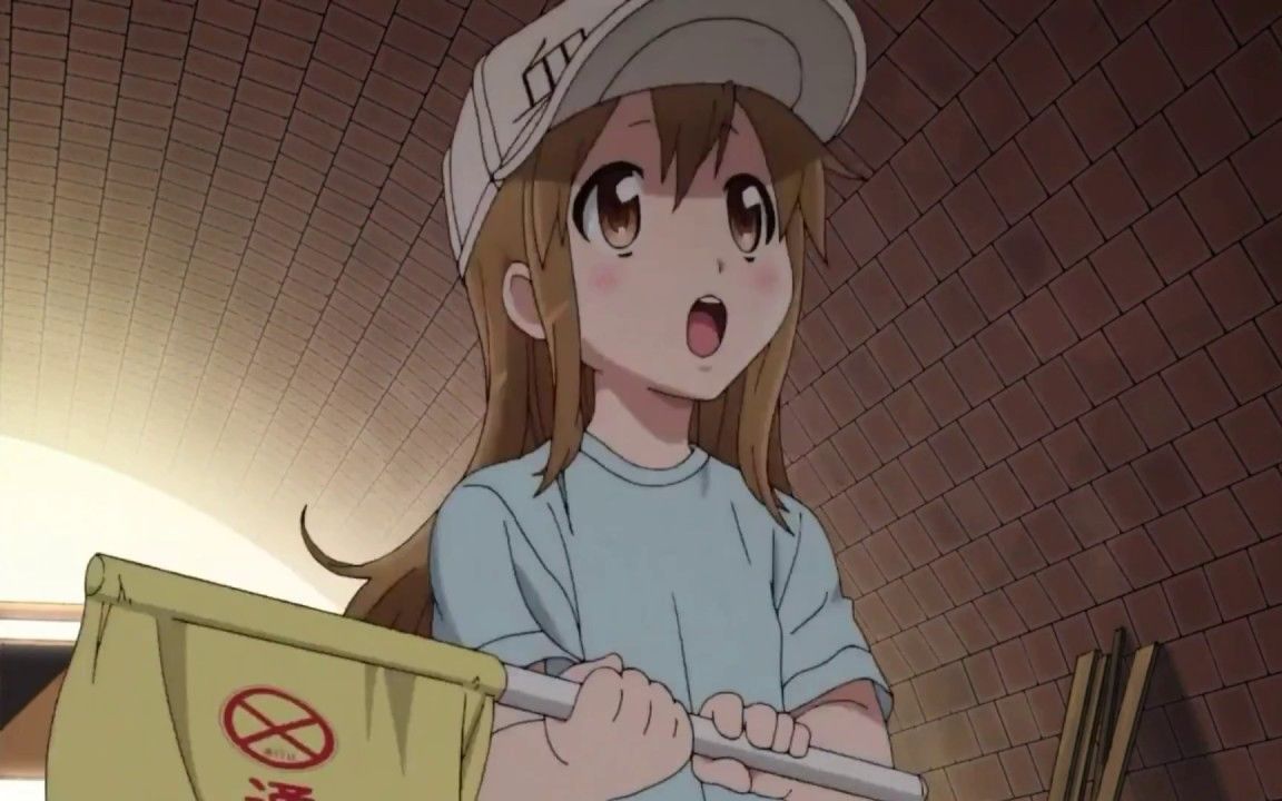 工作细胞血小板一小时洗脑循环