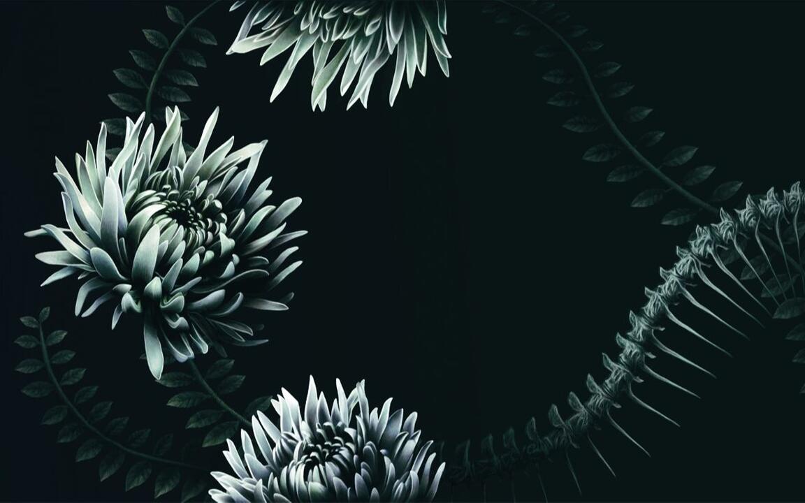 その他 Hysteresis REVERSUS DYE ELECTROCUTICA 专辑试听】「REVERSUS」 / ELECTROCUTICA_哔哩哔哩_bilibili