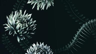 专辑试听】「RE:CYCLE」/ ELECTROCUTICA_哔哩哔哩_bilibili