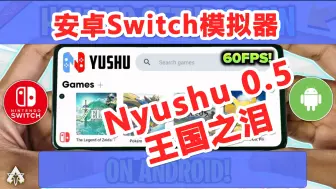 Download Video: 手机玩[塞尔达王国之泪] Nyushu 0.5详细设置与测试 | 高通骁龙 | 安卓Switch模拟器