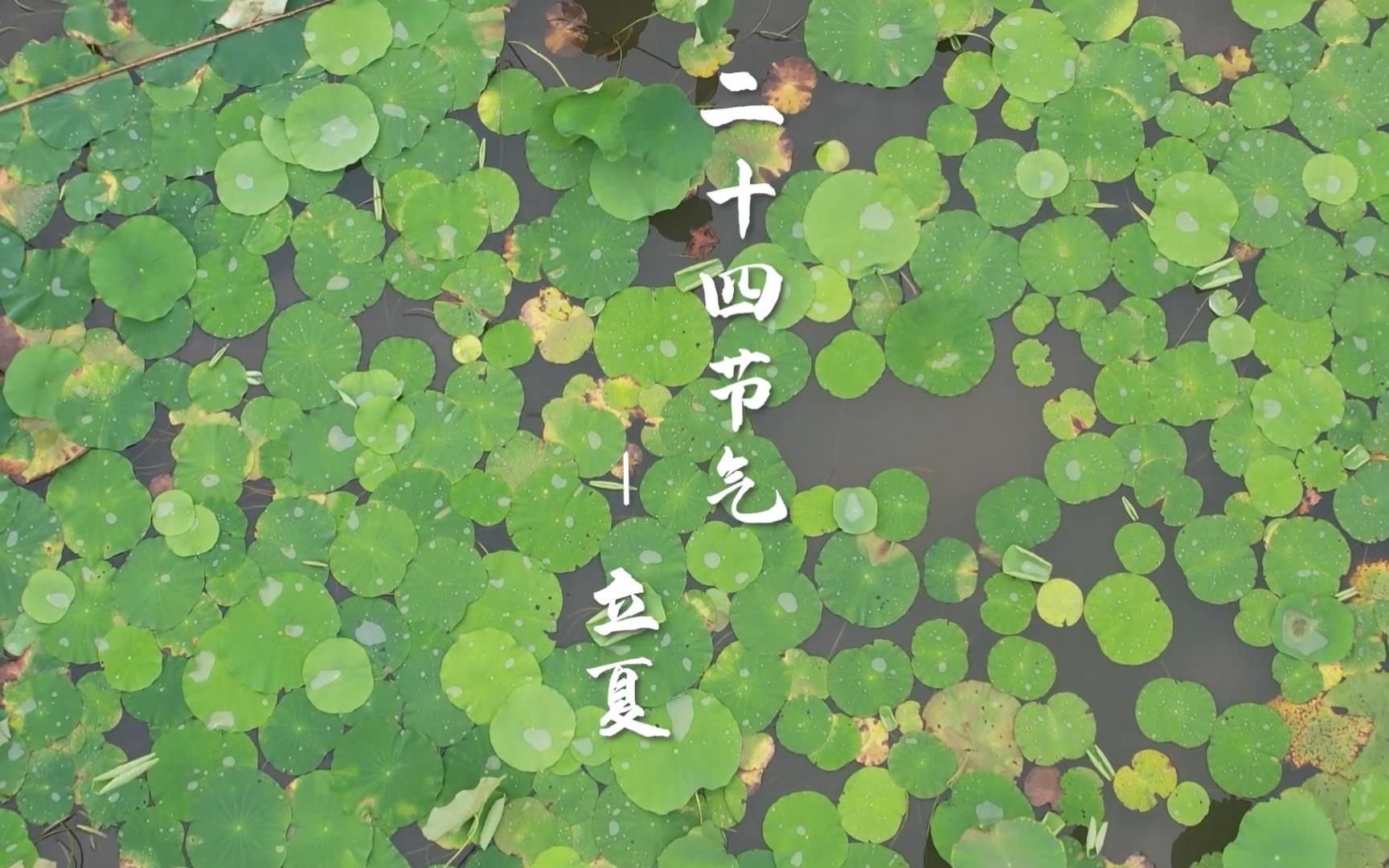 二十四节气--立夏