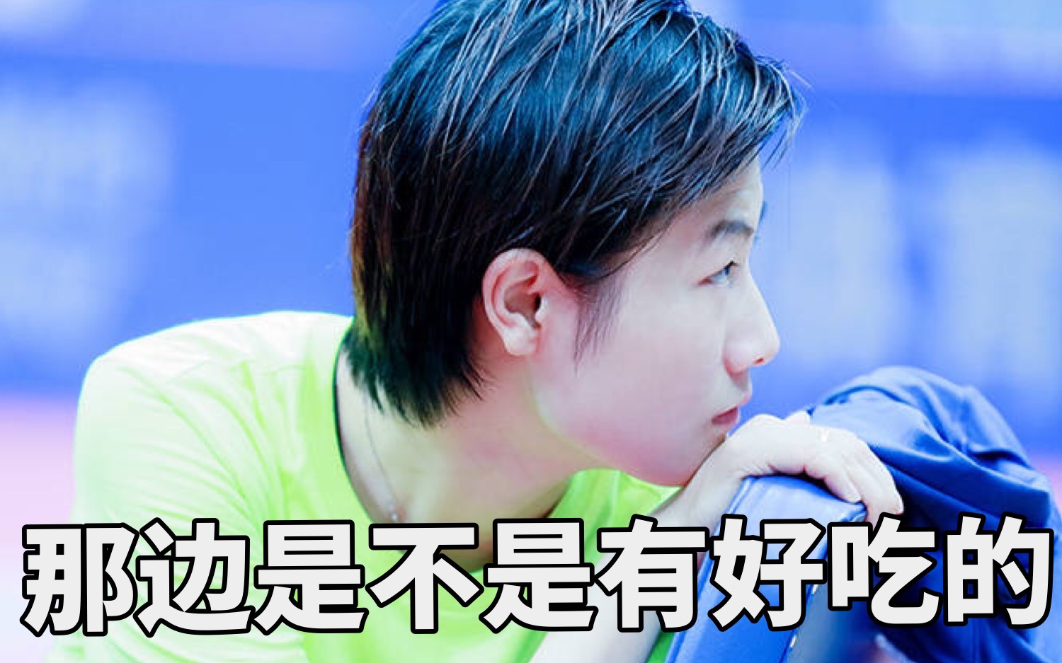 【丁宁】一只爱吃的吃货宁