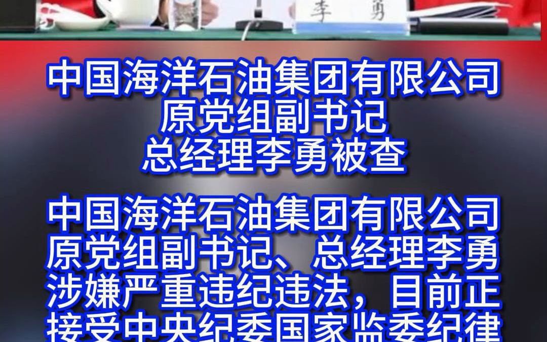 中国海油集团原党组副书记、总经理李勇被查哔哩哔哩bilibili